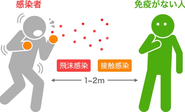 飛沫感染のイメージ図。感染した人が咳・くしゃみをし、 飛沫が飛散しており、健康な人が１〜２メートル離れて向かい合っている。