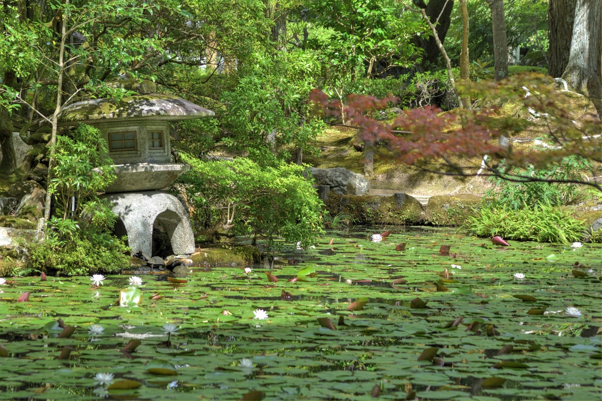 池泉回遊式庭園の画像