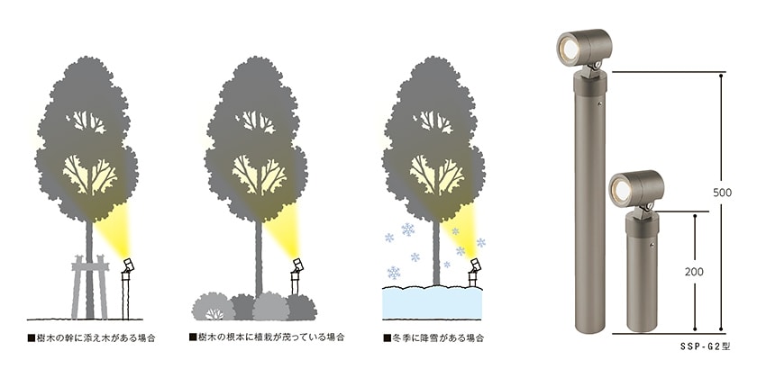 樹木の高さとスポットライトの関係