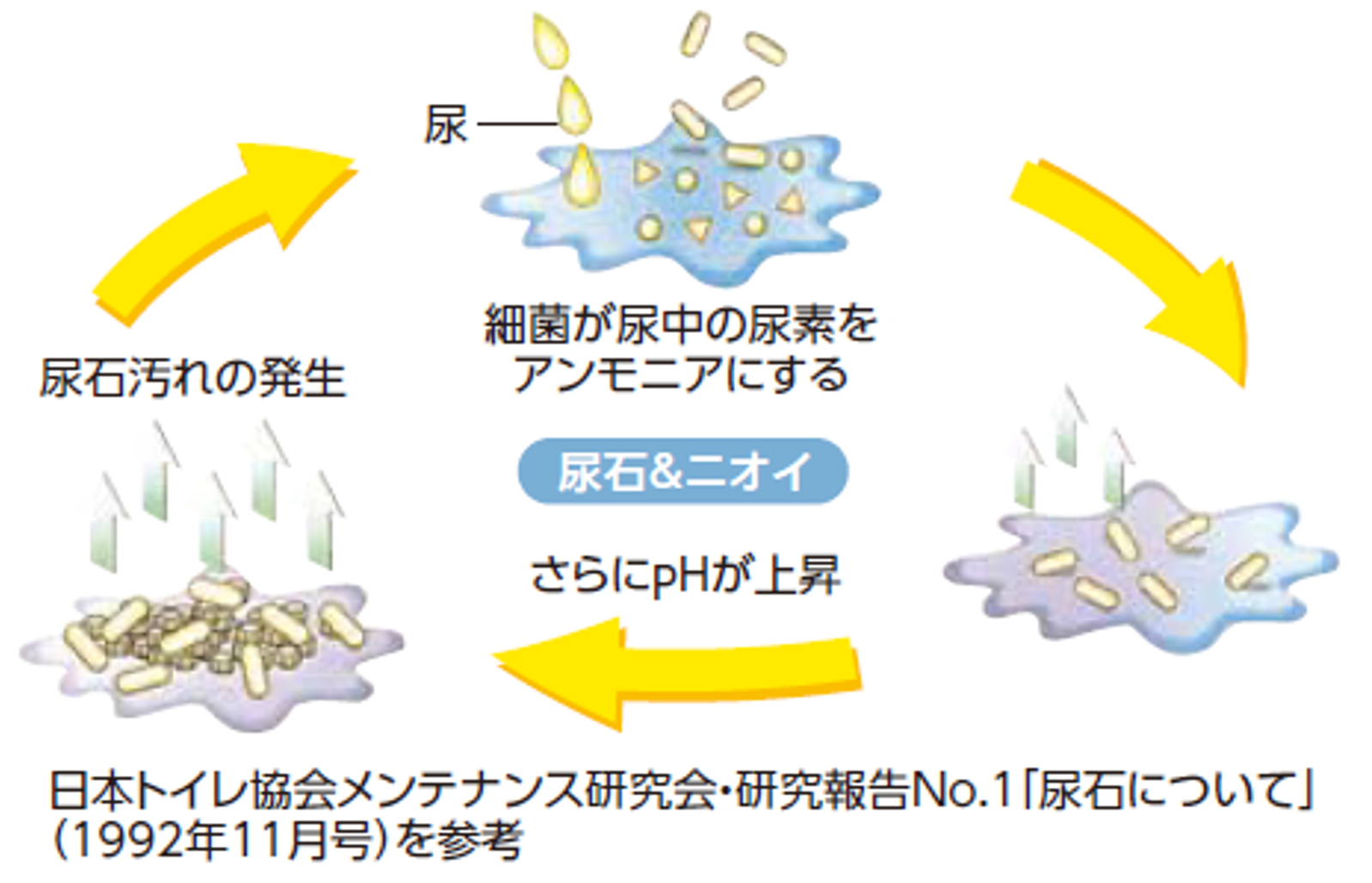 （図1）トイレの汚れ、ニオイ発生の仕組み