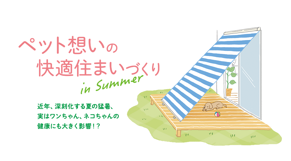 ybgz̉KZ܂Â in Summer ߔNA[Ă̖ҏA̓AlŘNɂ傫eIH