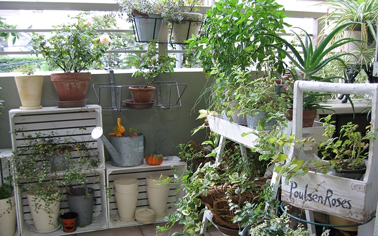 ベランダガーデニングは初心者でもok 育てやすい植物や注意点 Lixil Square