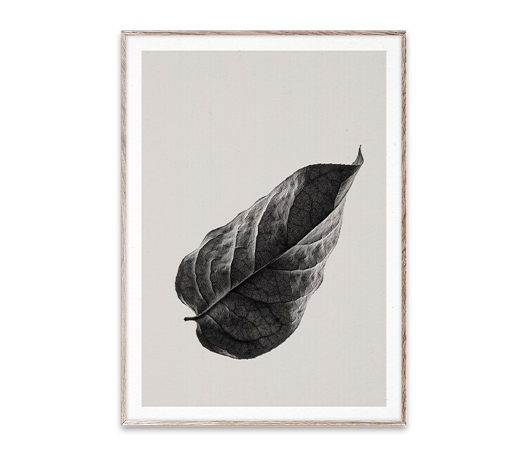 Sabi Leaf 01 (50×70)
